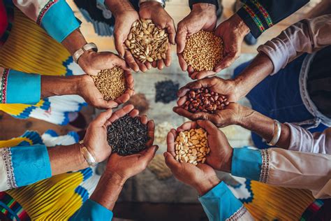 what are the seeds people are getting from china